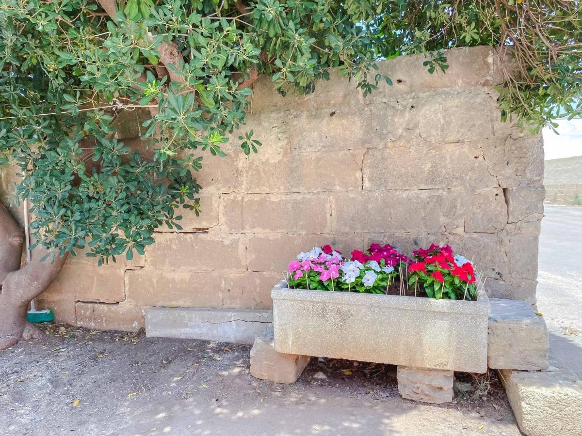 טורה סן ג'ובאני אוג'נטו Aparthotel Cortellenica מראה חיצוני תמונה